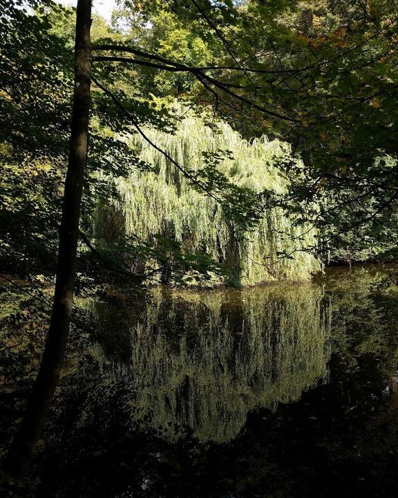 Oberschweinstiege